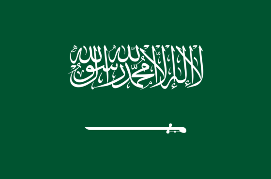 تاشيرة السعودية